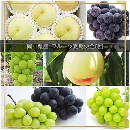 【発送月固定定期便】岡山県産  フルーツ定期便全6回【配送不可地域：離島・北海道・沖縄県】【4077001】