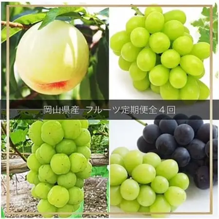 【発送月固定定期便】岡山県産  フルーツ定期便全4回【配送不可地域：離島・北海道・沖縄県】【4077003】