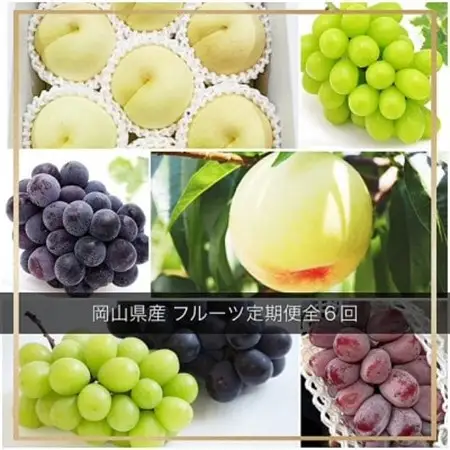 【発送月固定定期便】岡山県産 フルーツ定期便全6回【配送不可地域：離島・北海道・沖縄県】【4077021】