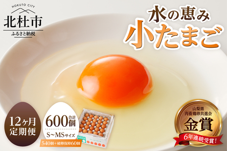【12ヶ月定期便】水の恵み小卵　たまご S?MSサイズ 45個 破卵保証5個 計50個 鶏卵 小玉 山梨県 北杜市産 卵 [h081]