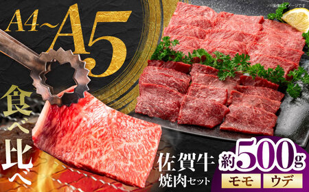 佐賀牛 焼肉セット C モモ ウデ 約500g 【JAさが 杵島支所】[HAM093]