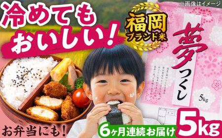 【全6回定期便】【令和7年度産】夢つくし 5kg 精米 有限会社ファインリョーコク/吉富町[BGBV003]