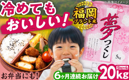 【全6回定期便】【令和7年度産】夢つくし 20kg 精米 有限会社ファインリョーコク/吉富町[BGBV009]