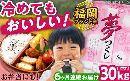 【全6回定期便】【令和7年度産】夢つくし 30kg 精米 有限会社ファインリョーコク/吉富町[BGBV012]