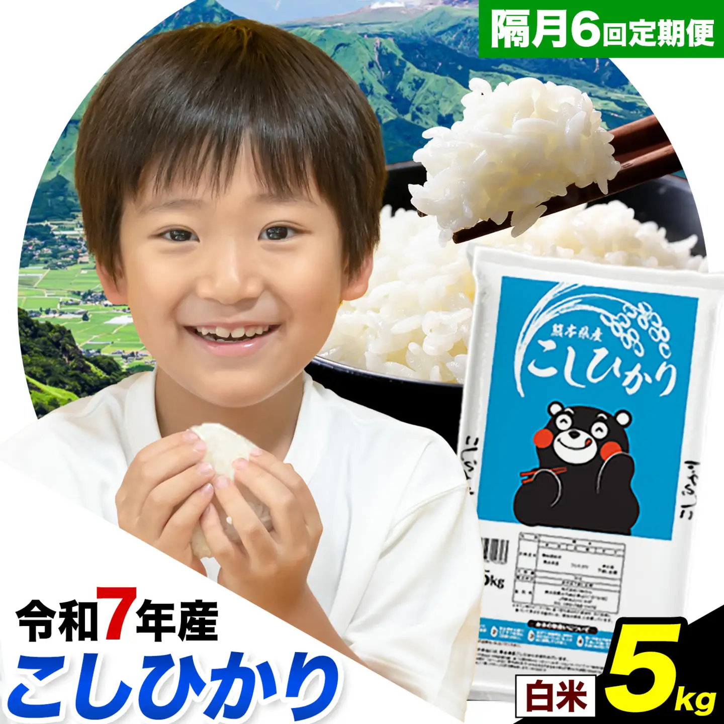 令和7年産 【隔月6回定期便】 こしひかり 5kg 白米 精米 熊本県産(南阿蘇村産含む) 単一原料米 南阿蘇村 産 米 定期便《お申込月の翌月から出荷》