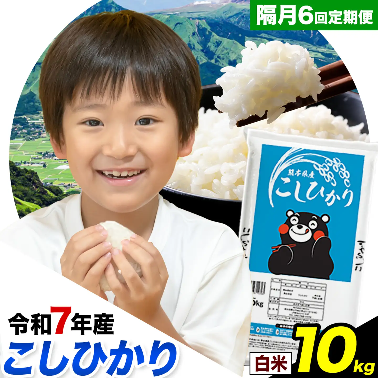 令和7年産 【隔月6回定期便】 こしひかり 10kg 白米 精米 熊本県産(南阿蘇村産含む) 単一原料米 南阿蘇村 産 米 定期便《お申込月の翌月から出荷》