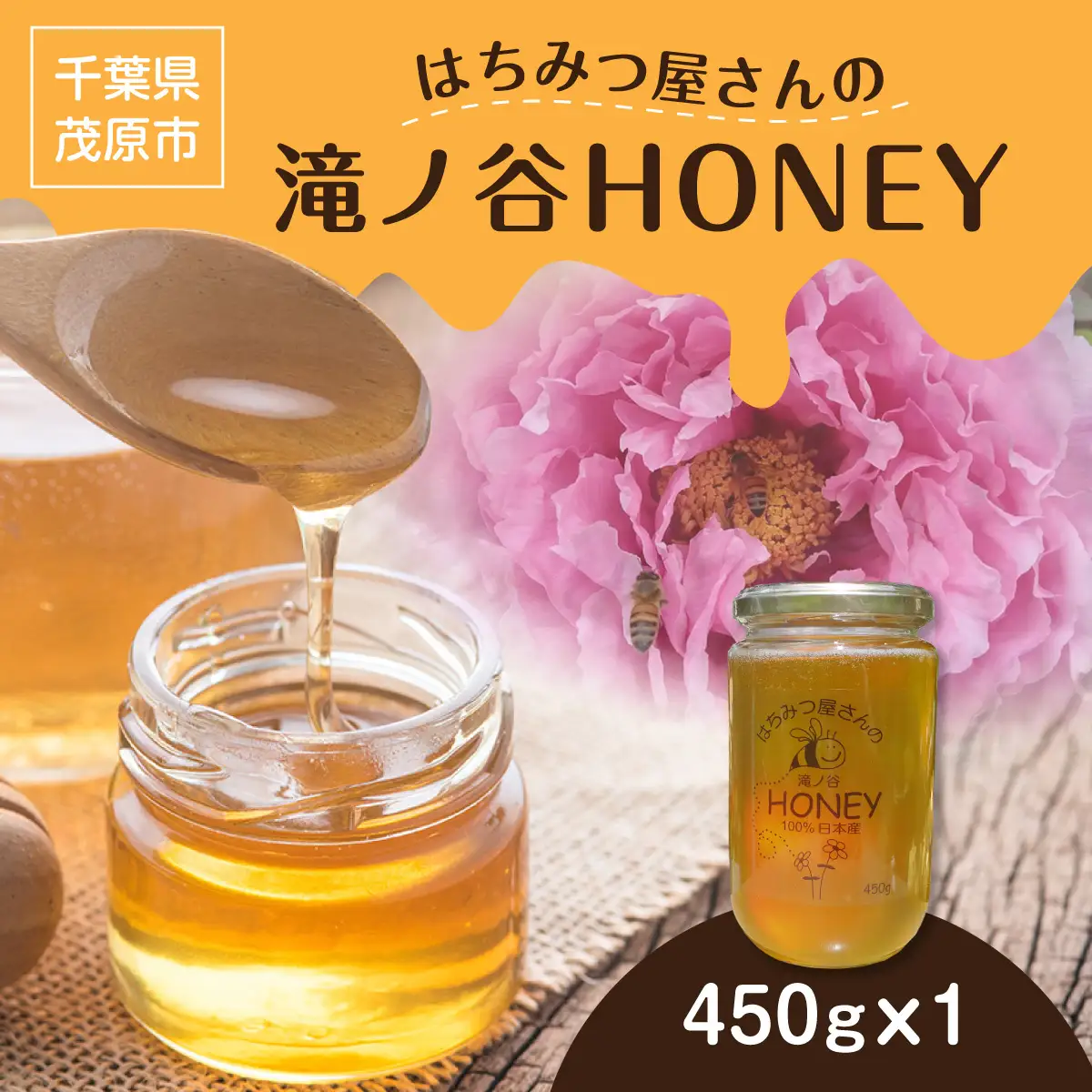 はちみつ屋さんの滝ノ谷HONEY 450g×1  MBAW003