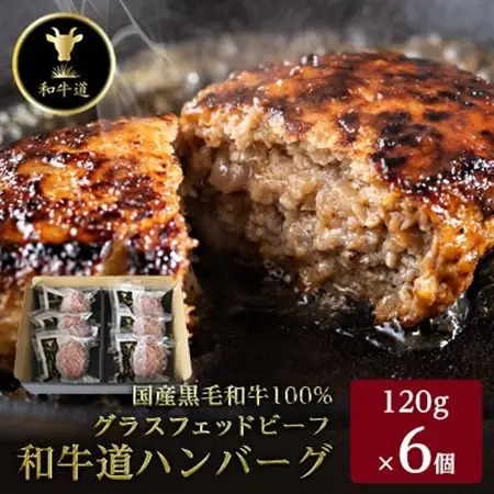 【毎月定期便】和牛道ハンバーグ120g×6食セット 大樹町 国産黒毛和牛 グラスフェッドビーフ全3回【配送不可地域：離島】【4071621】