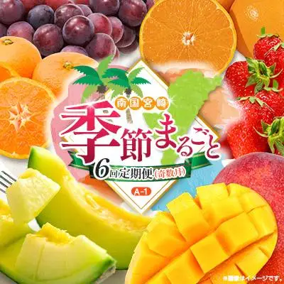 【奇数月 6回定期便】旬 人気 フルーツ 南国宮崎産 太陽のタマゴ ピオーネ いちご みかん メロン マンゴー 柑橘 ぶどう 果物 詰め合わせ 宮崎県 九州＜A-1コース M110＞