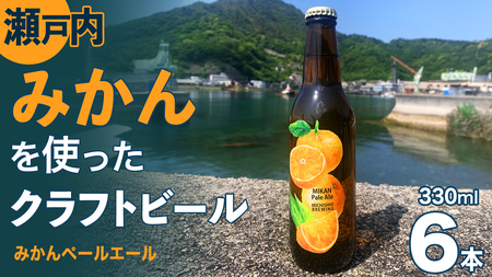 クラフトビール みかんペールエール 330ml × 6本セット