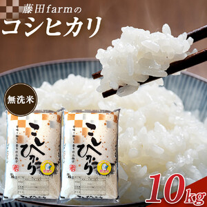【寄附額を見直しました！】令和7年産 大田原市 藤田farmのコシヒカリ 【無洗米】 10kg ｜栃木県産 米 お米  コメ こしひかり コシヒカリ 栃木県 【選べる容量】5kg 10kg  数量限定