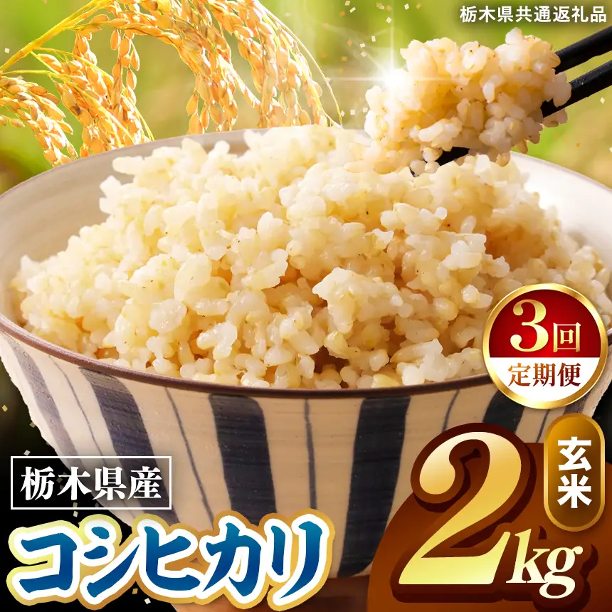 令和8年度産 先行予約 【定期便3回】こしひかり 玄米 約2kg
