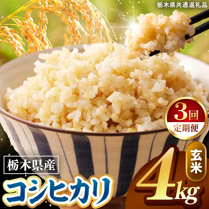令和8年度産 先行予約 【定期便3回】こしひかり 玄米 約4kg
