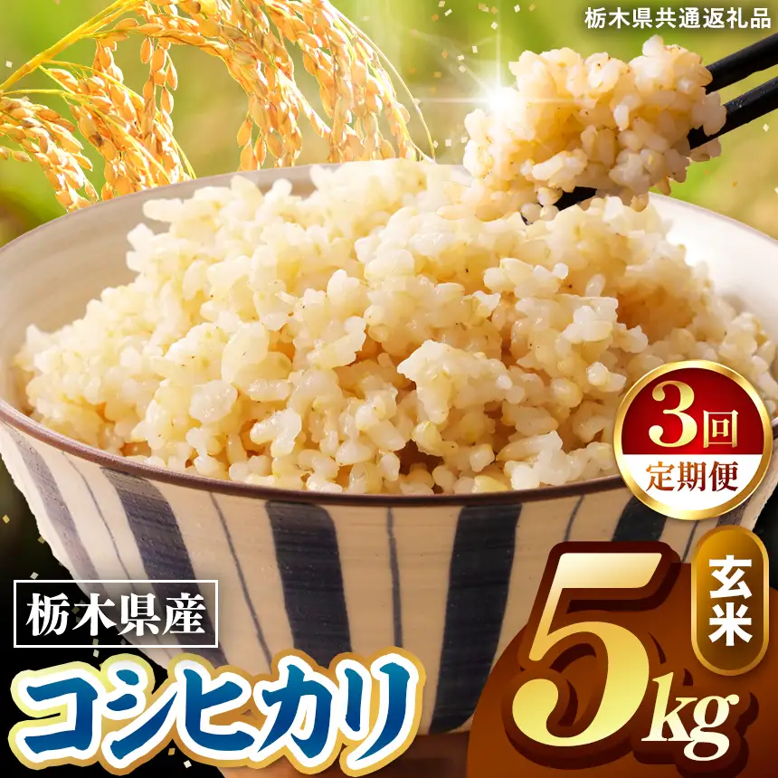令和8年度産 先行予約 【定期便3回】こしひかり 玄米 約5kg
