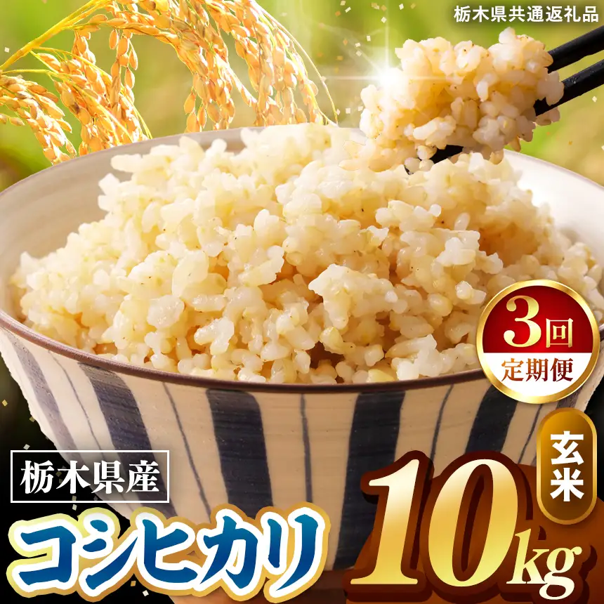 令和8年度産 先行予約 【定期便3回】こしひかり 玄米 約10kg