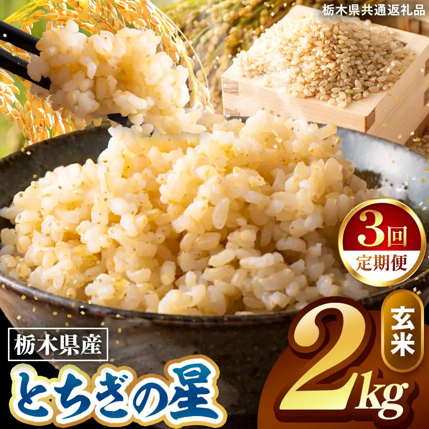 令和8年度産 先行予約 【定期便3回】とちぎの星 玄米 約2kg