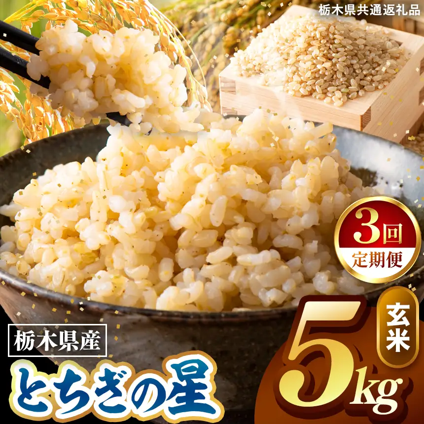 令和8年度産 先行予約 【定期便3回】とちぎの星 玄米 約5kg