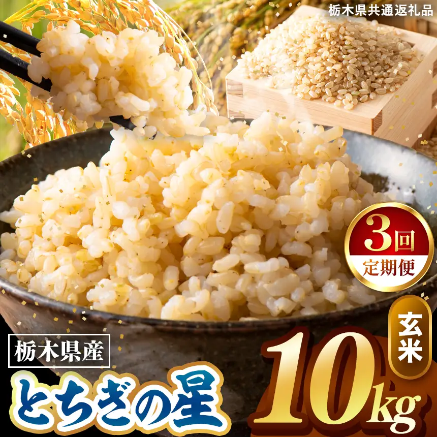 令和8年度産 先行予約 【定期便3回】とちぎの星 玄米 約10kg