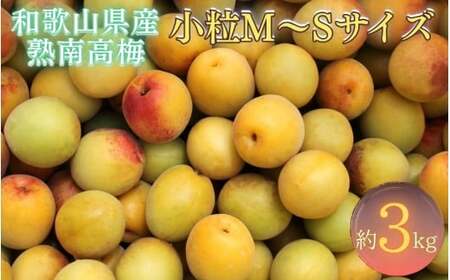 【梅干・梅酒用】紀州和歌山県産 熟南高梅 生うめ 優品 約３kg (S、Mサイズおまかせ)+3%増量＜2026年6月下旬～7月上旬発送予定＞/ 梅干し 梅酒 ウメシロップ ジュース ジャム他 紀州熟南高梅 青梅 黄梅 朝採り フルーツ 果物 くだもの 食品 人気 おすすめ 【クール便送料無料】【art043】