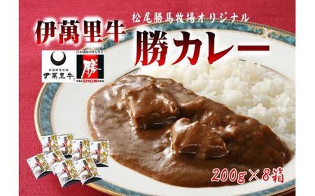 レストラン勝オリジナル伊萬里牛 カレー【中辛】8食分 007-J1776