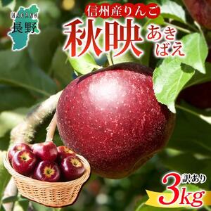 ＜26年10月頃～発送 先行予約＞長野県産 りんご 秋映 訳あり 約3kg リンゴ 旬 フルーツ 訳アリ 林檎 果物 規格外 自家用 産地直送 農園 産直 お取り寄せ もぎたて 採れたて 送料無料 堀田農園 信州 大町市