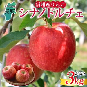 ＜26年９月中旬頃～発送 先行予約＞長野県産 りんご シナノドルチェ 訳あり 約3kg リンゴ 旬 フルーツ 訳アリ 林檎 果物 規格外 自家用 産地直送 農園 産直 お取り寄せ もぎたて 採れたて 送料無料 堀田農園 信州 大町市