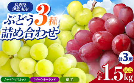 【2026年先行予約】信州伊那産ぶどう３種食べ比べセット（約1.5kg）シャインマスカット　クイーンルージュ(R)　雄宝｜ぶどう ぶどう詰合せ 葡萄 セット ぶどう食べ比べ 2種セット シャインマスカット クイーンルージュ 雄宝 種なし ぶどう高級 フルーツ ギフト フルーツ 旬のフルーツ 伊那市 長野県産 【024-18】