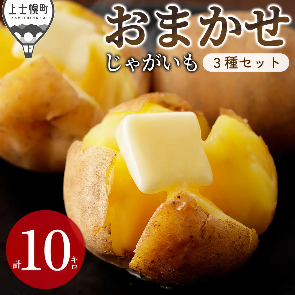 2026年産 先行予約 北海道産 おまかせ じゃがいも 4種セット 計10kg（2.5kg×4種） 北海道 上士幌町 加藤農場 野菜 ジャガイモ 馬鈴薯 産地直送 ◆2026年12月配送予定