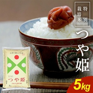 SA2961　令和7年産【精米】特別栽培米 つや姫　5kg×1袋 《農産物検査員おすすめの庄内米》 SY