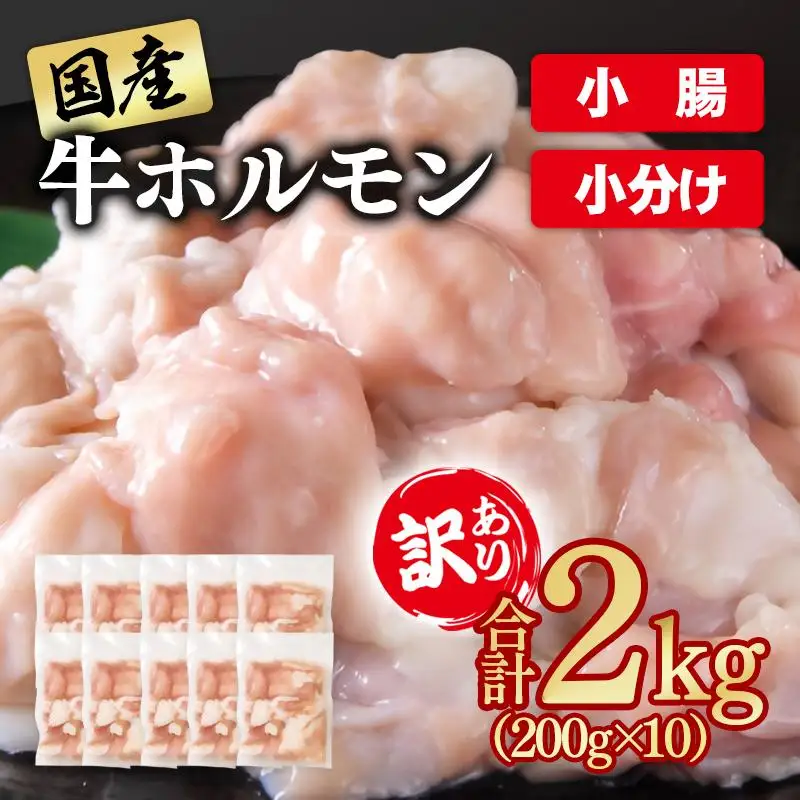 訳あり牛ホルモン2㎏ 小分け200g×10 国産 ホルモン もつ鍋 焼肉用 国産牛 牛モツ コラーゲン＜58-49a＞