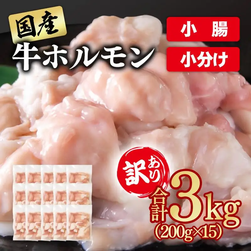 訳あり牛ホルモン3㎏ 小分け200g×15 国産 ホルモン もつ鍋 焼肉用 国産牛 牛モツ コラーゲン＜58-50a＞