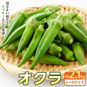 オクラ　約2.1kg