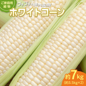 ご家庭用細物ホワイトコーン　約3.5kg×2