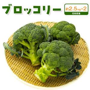 ブロッコリー　約2.5kg×2