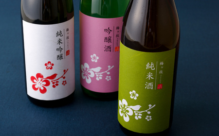 《定期便》純米吟醸･吟醸･純米酒 華やか＆やや辛口日本酒3本【3回お届け】