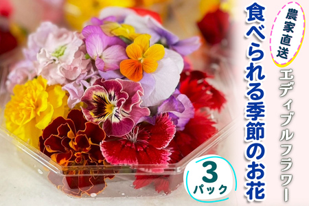 農家直送！加藤さんちのエディブルフラワー 3パック (1パックあたり季節のお花15輪から30輪) [0763]