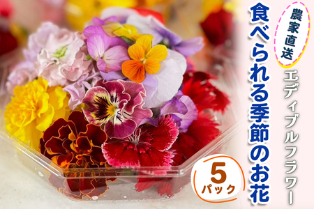 農家直送！加藤さんちのエディブルフラワー 5パック (1パックあたり季節のお花15輪から30輪) [0764]