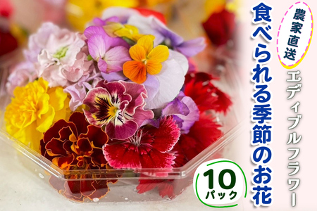 農家直送！加藤さんちのエディブルフラワー 10パック (1パックあたり季節のお花15輪から30輪) [0765]