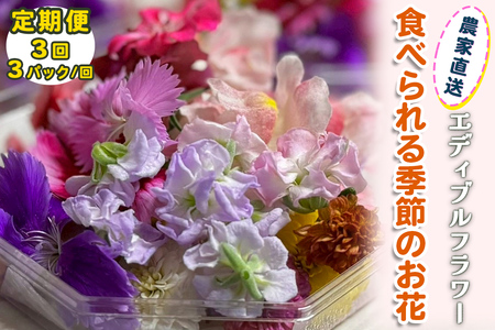 [定期便3回] 農家直送！加藤さんちのエディブルフラワー 3パック (1パックあたり季節のお花15輪から30輪) [0769]