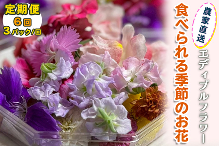 [定期便6回] 農家直送！加藤さんちのエディブルフラワー 3パック (1パックあたり季節のお花15輪から30輪) [0770]