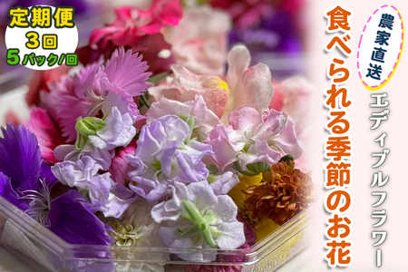 [定期便3回] 農家直送！加藤さんちのエディブルフラワー 5パック (1パックあたり季節のお花15輪から30輪) [0771]