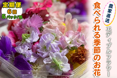 [定期便6回] 農家直送！加藤さんちのエディブルフラワー 5パック (1パックあたり季節のお花15輪から30輪) [0772]
