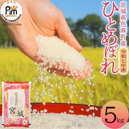 【令和7年産】宮城県　色麻町　ひとめぼれ　精米　5kg【配送不可地域：離島・沖縄県】【1690244】