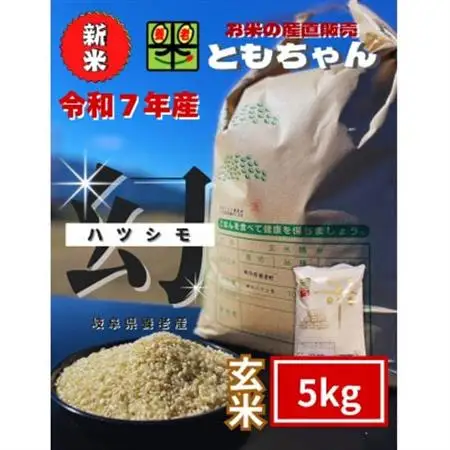 令和7年産 幻のハツシモ(旧品種) 玄米 5kg【1690466】 | 岐阜県養老町