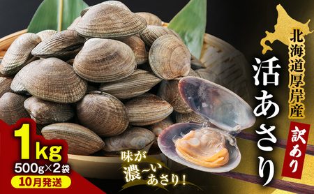 【10月発送】訳あり 北海道 厚岸産 砂出し済み 活あさり 500g×2 (合計1kg) 【厚岸海産】[ アサリ 魚貝 海鮮 大粒 美味しい 栄養 旨み 砂出し 水洗い 冷蔵 便利 ] 