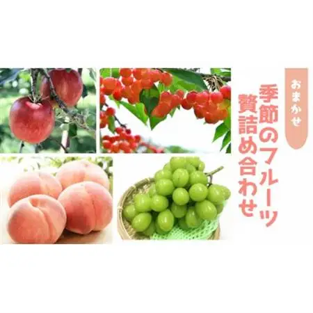 信州中野 季節の果物おまかせセット【フルーツ詰め合わせ】【配送不可地域：離島】【1646790】