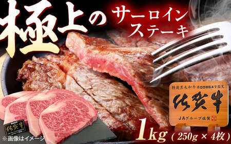 ステーキ 佐賀牛 サーロインステーキ 1kg [UEM061]
