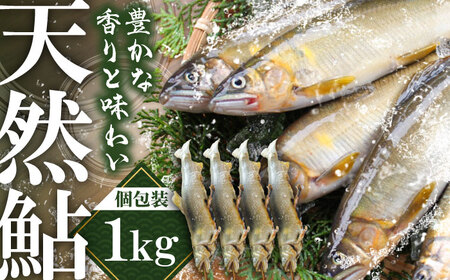 日田産天然鮎(冷凍)1kg　日田市 / 日田漁業協同組合 魚 あゆ アユ[ARFJ002]