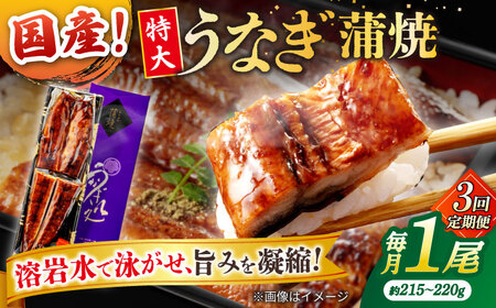 【3回定期便】うなぎ老舗専門店のパリっとふっくら国産うなぎ 蒲焼1尾(蒲焼のタレ付き) 島根県松江市/株式会社山美世商会[ALDC007]