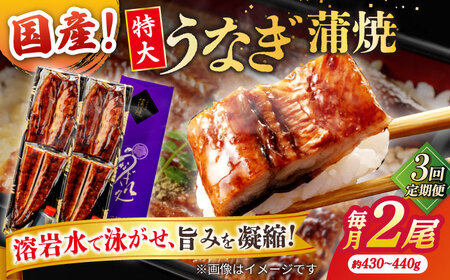 【3回定期便】うなぎ老舗専門店のパリっとふっくら国産うなぎ 蒲焼2尾(蒲焼のタレ付き) 島根県松江市/株式会社山美世商会[ALDC013]
